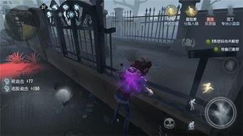 祭司官方爆料视频,视频内容深度解析