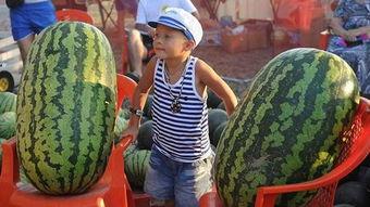 吃瓜高手免费观看全集,免费解锁全集,揭秘娱乐圈幕后真相 第2张 吃瓜高手免费观看全集,免费解锁全集,揭秘娱乐圈幕后真相 第2张